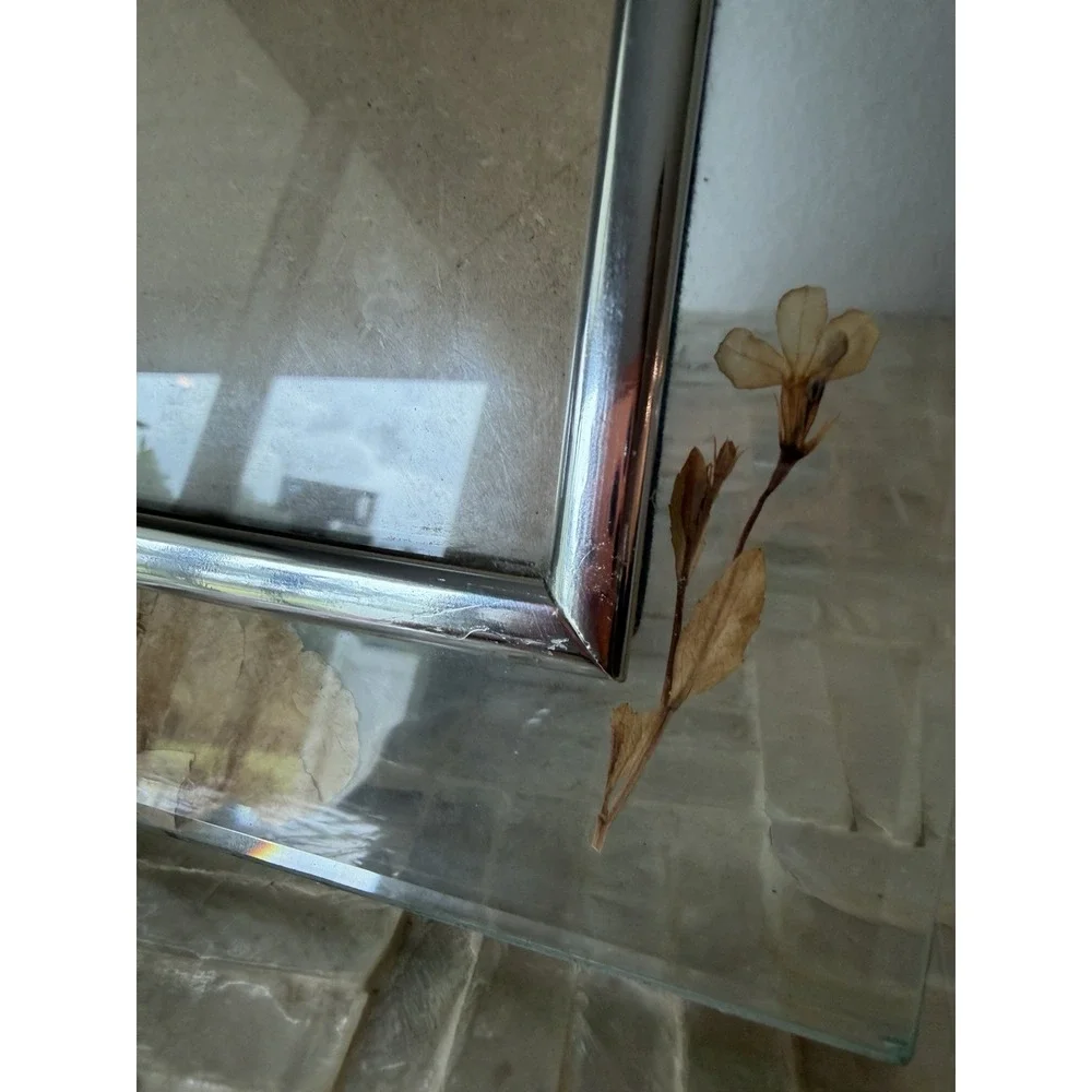 Glass Dried Pressed Flower Floral Photo Frame Clear/Silver Freestanding